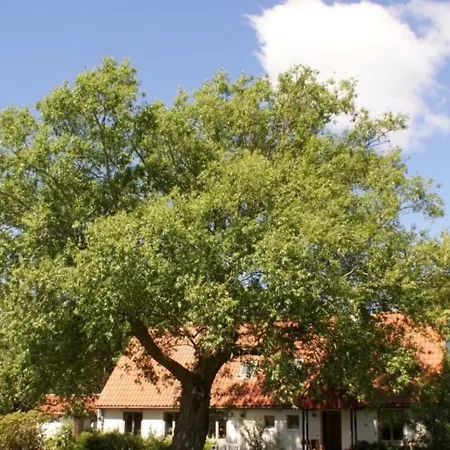 Landlig Idyl Pa Dommergarden Bed And Coffee Laeso