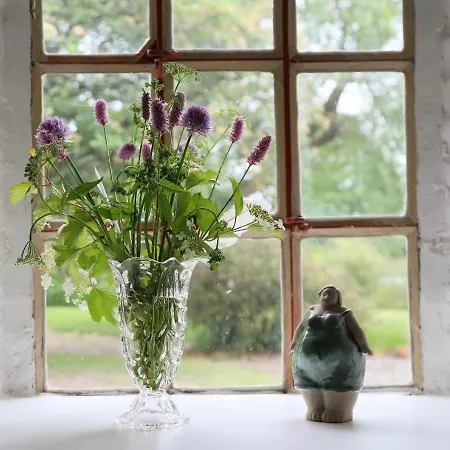 Landlig Idyl Pa Dommergarden Bed And Coffee Laeso